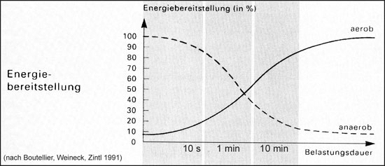 Energiebereitstellungsgraph