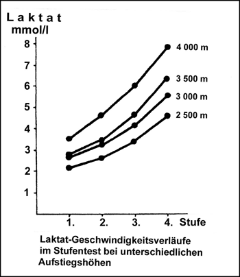 Abb.  Lactat - Geschwindigkeits-Verläufe im Stufentest